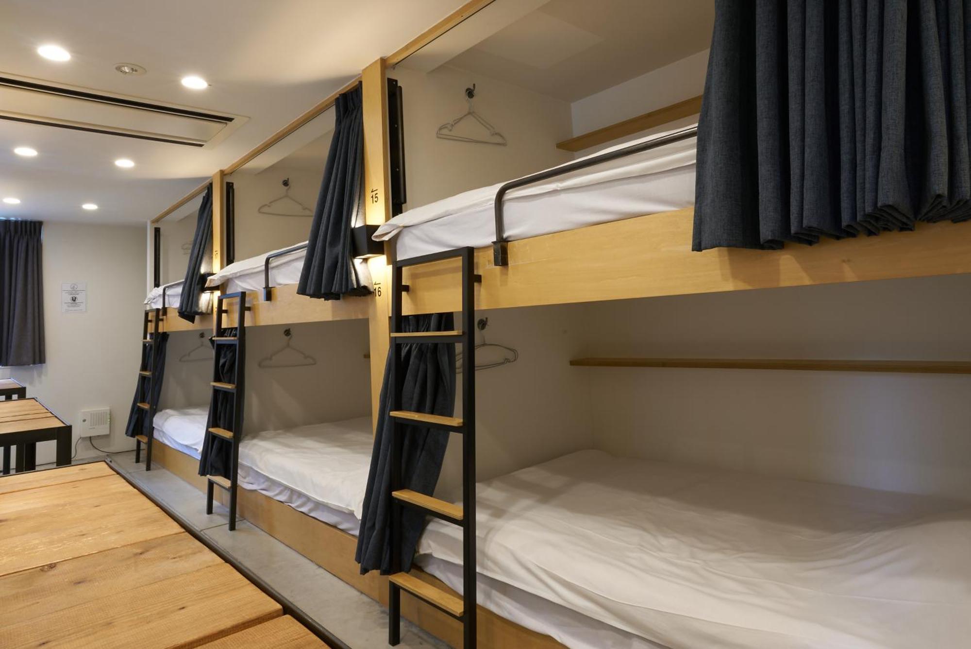 Bunk Bed Mixed Dormitory Room