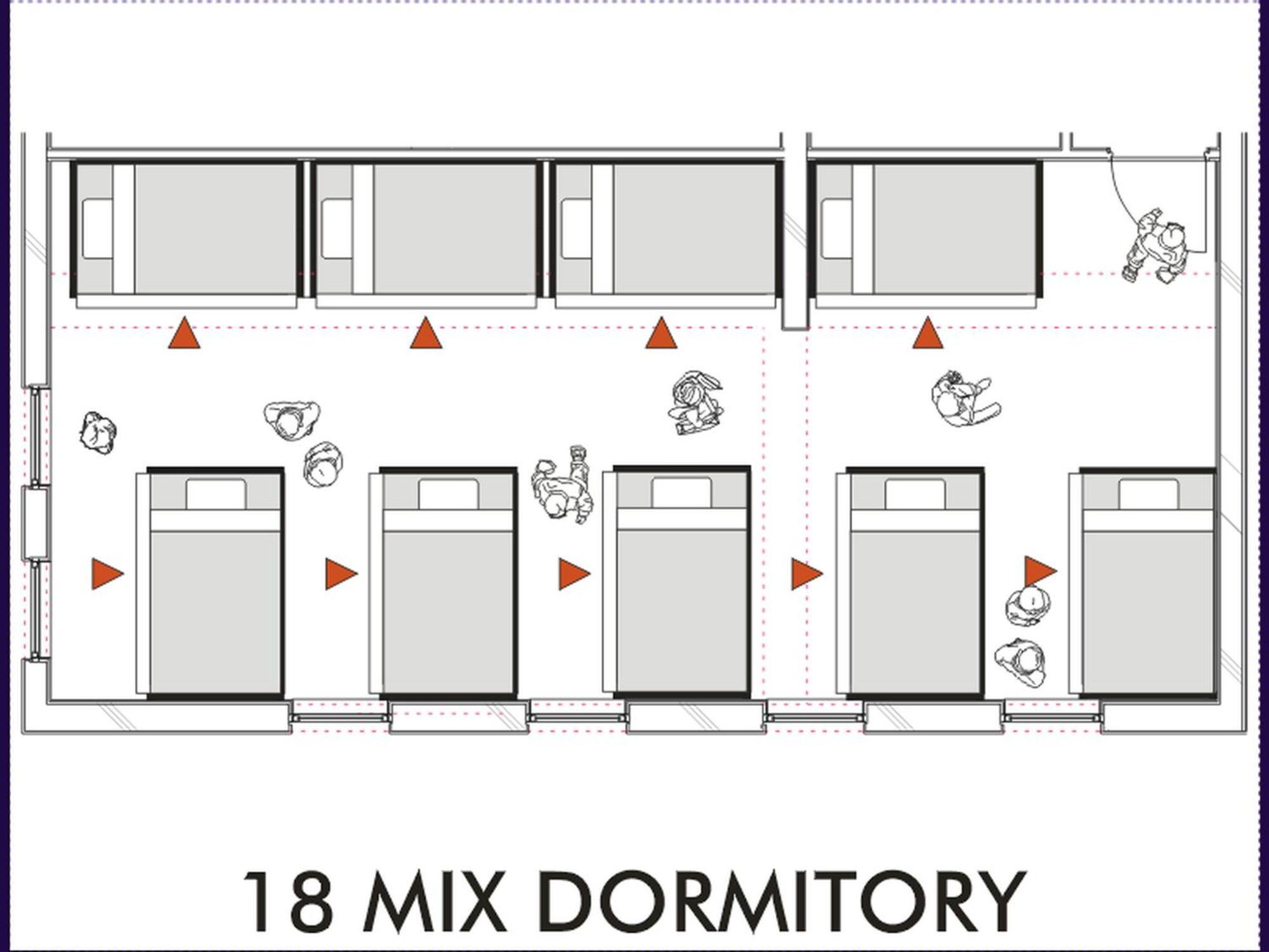 Bunk Bed Mixed Dormitory Room